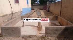 Quand la jeunesse prend son destin en main : l’exemple inspirant de Fasso Dèmen à Forécariah Balimana