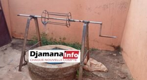 Quand la jeunesse prend son destin en main : l’exemple inspirant de Fasso Dèmen à Forécariah Balimana