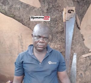 Kouremalé : Les acteurs de la filière bois s’impatientent à l’approche de la fin du repos biologique