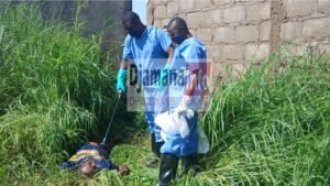 Macabre découverte à Kankan : un jeune égorgé et abandonné dans un quartier périphérique