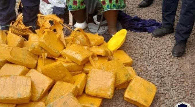 Kamsar : Saisie de 62 kg de chanvre indien par la Brigade Spéciale d’Intervention et de Protection