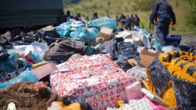 Coyah : plus de 3 tonnes de cocaïne incinérées par le gouvernement dans une vaste opération antidrogue