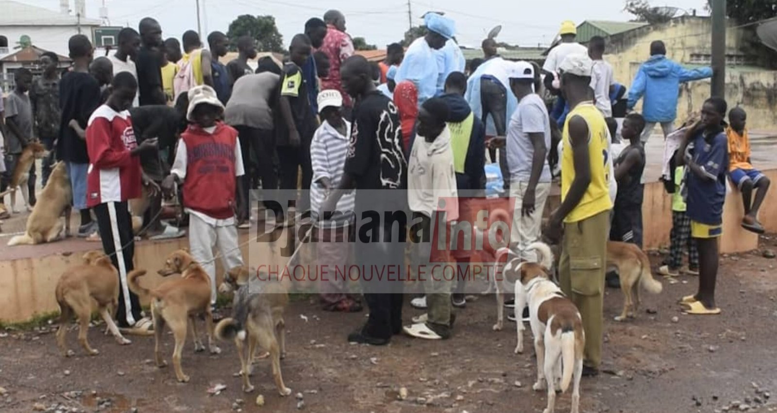 Faranah : célébration en différé de la journée internationale de la lutte contre la rage