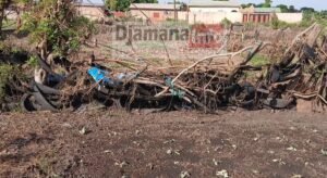 Kankan : les maraîchers du groupement « Konkofra » de Banankoroda lancent un cri de détresse 3 Kankan : les maraîchers du groupement « Konkofra » de Banankoroda lancent un cri de détresse