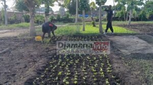 Kankan : les maraîchers du groupement « Konkofra » de Banankoroda lancent un cri de détresse 5 Kankan : les maraîchers du groupement « Konkofra » de Banankoroda lancent un cri de détresse