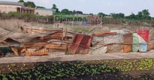 Kankan : les maraîchers du groupement « Konkofra » de Banankoroda lancent un cri de détresse 2 Kankan : les maraîchers du groupement « Konkofra » de Banankoroda lancent un cri de détresse