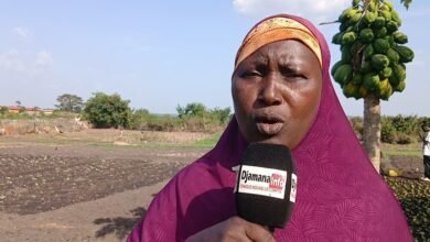 Kankan : les maraîchers du groupement « Konkofra » de Banankoroda lancent un cri de détresse