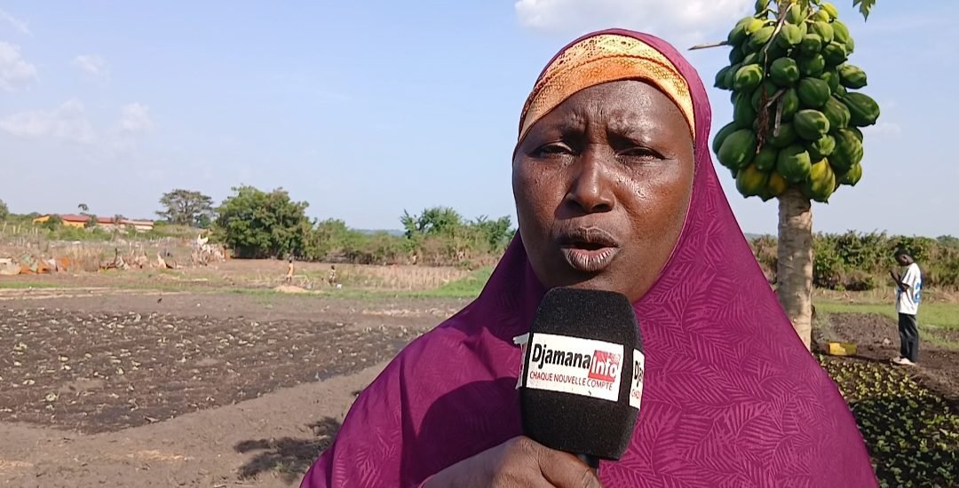 Kankan : les maraîchers du groupement « Konkofra » de Banankoroda lancent un cri de détresse 1 Kankan : les maraîchers du groupement « Konkofra » de Banankoroda lancent un cri de détresse