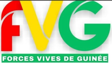 🔴 Présidentielle 2025 : Les Forces Vives de Guinée dénoncent un “parjure” de Mamadi Doumbouya et rejettent sa candidature 4 🔴 Présidentielle 2025 : Les Forces Vives de Guinée dénoncent un “parjure” de Mamadi Doumbouya et rejettent sa candidature