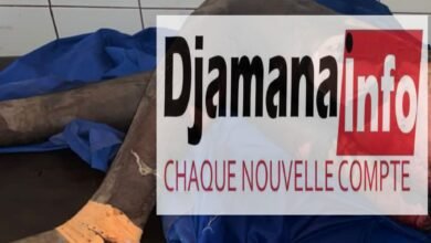 Siguiri : soupçonné de vol, un jeune homme meurt brûlé après avoir été remis à son frère