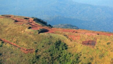 Guinée : le projet Simandou plonge des milliers de travailleurs dans le chômage
