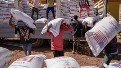 Les États-Unis suspendent leur aide au gouvernement somalien