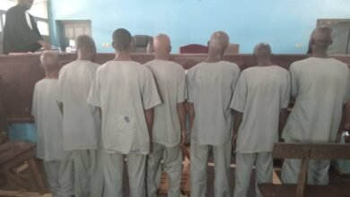 TPI de Mamou : la justice frappe fort contre le grand banditisme