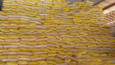 Guinée : Riz 50 kg à 280 000 GNF et autres produits de première nécessité plafonnés