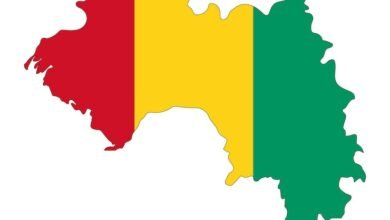Guinée : la population dépasse 17,5 millions d’habitants selon les résultats préliminaires du RGPH-4