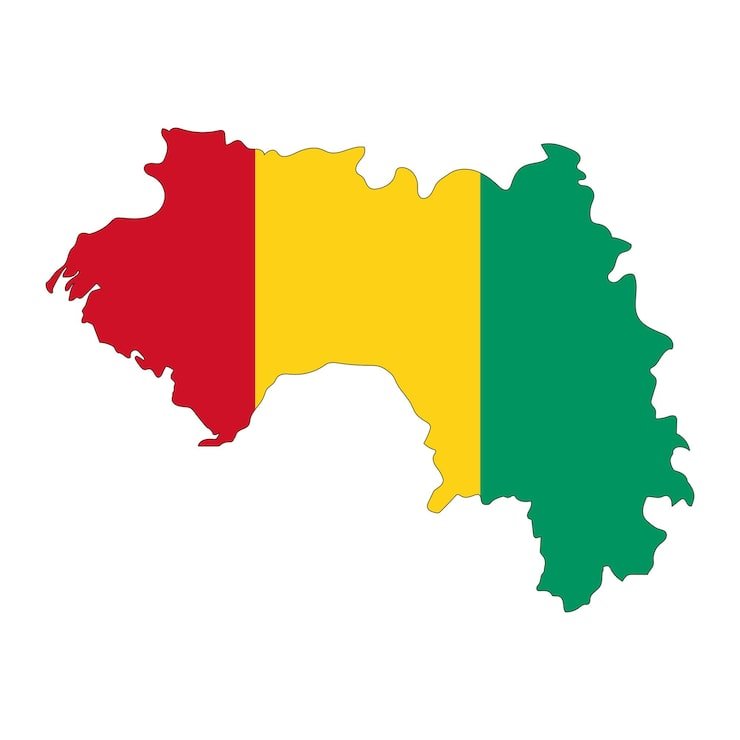 Guinée : la population dépasse 17,5 millions d’habitants selon les résultats préliminaires du RGPH-4 1 Guinée : la population dépasse 17,5 millions d’habitants selon les résultats préliminaires du RGPH-4