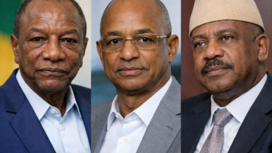 Guinée : séisme politique, 40 partis officiellement dissous