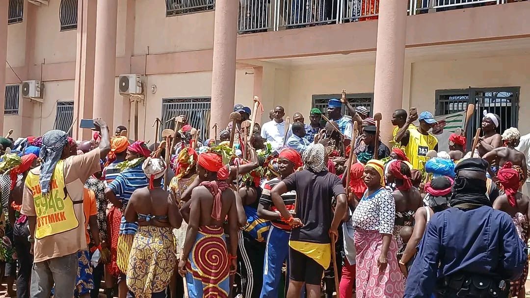 Kankan : des femmes de töron-banankö manifestent contre la transhumance et les dégâts causés par des zébus