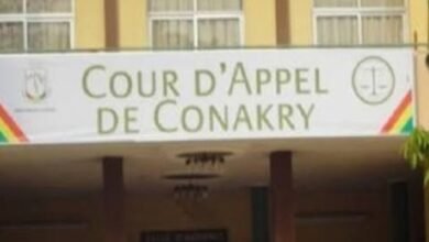 Réseaux sociaux en guinée : le parquet général durcit le ton contre injures et fausses informations