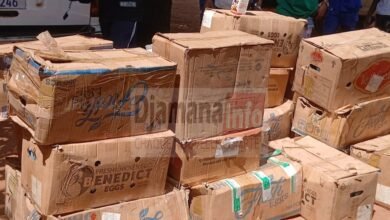 Saisie spectaculaire à kankan : plus de 170 cartons de médicaments dangereux interceptés