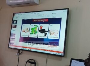 Santé et bien-être : dynace global fait découvrir ses produits bio aux habitants de kankan