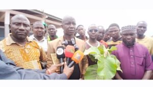 Kankan : les jeunes de bordo s. O. S plantent 1 500 arbres pour lutter contre le réchauffement climatique