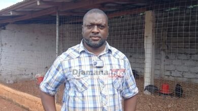 Entrepreneuriat à kankan : moustapha diané appelle les jeunes à créer leur propre emploi grâce à l'élevage