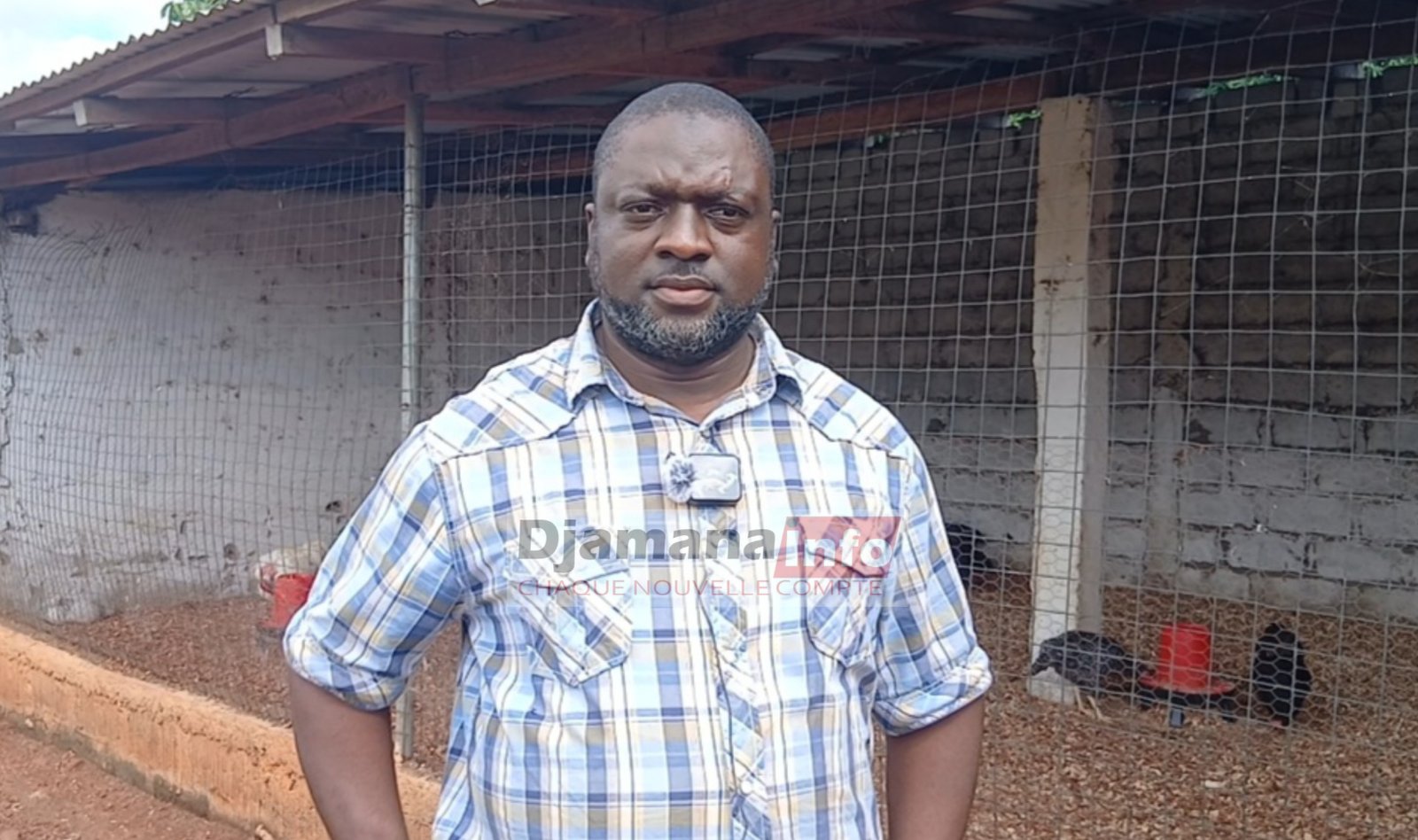 Entrepreneuriat à kankan : moustapha diané appelle les jeunes à créer leur propre emploi grâce à l'élevage Entrepreneuriat à kankan : moustapha diané appelle les jeunes à créer leur propre emploi grâce à l'élevage