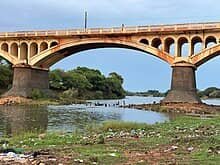 Festival Sur le Milo : Un Prétexte Festif pour Oublier l'Agonie d'un Fleuve ? 1 Festival Sur le Milo : Un Prétexte Festif pour Oublier l'Agonie d'un Fleuve ?