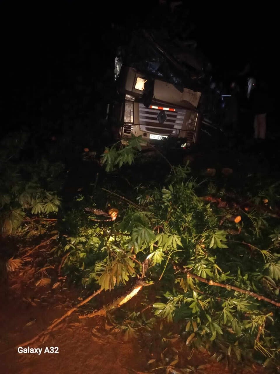 Kankan : Une branche d’arbre tue un apprenti chauffeur sur la route de Kérouané 1 Kankan : Une branche d’arbre tue un apprenti chauffeur sur la route de Kérouané