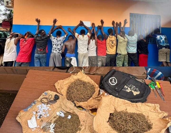 Drogue à Conakry : un coup de filet à Lambanyi, treize arrestations et une saisie inquiétante 1 Drogue à Conakry : un coup de filet à Lambanyi, treize arrestations et une saisie inquiétante