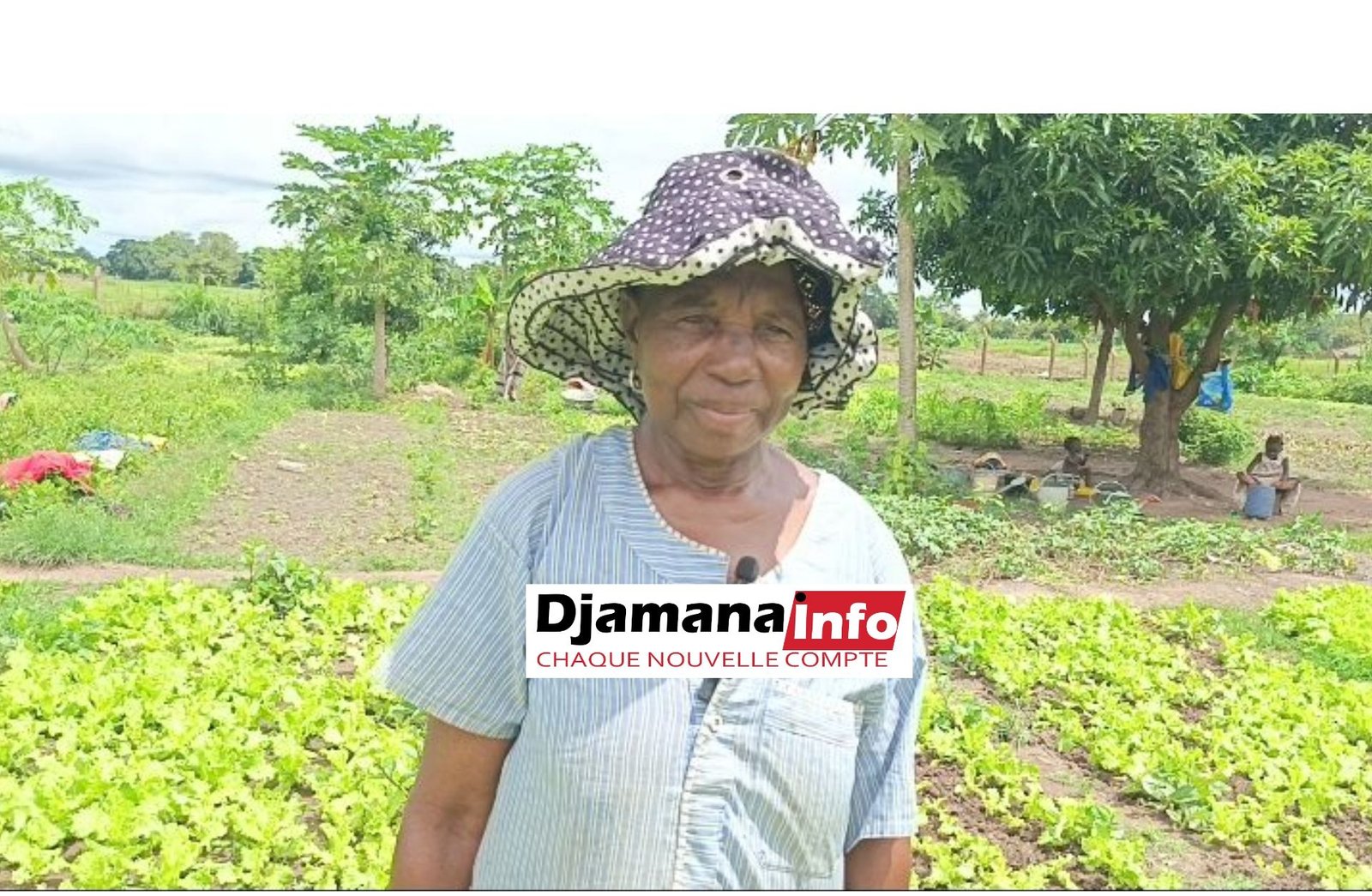 Union maraîchère de Bordo(kankan) : 25 hectares exploités, mais de nombreux défis à relever 1 Union maraîchère de Bordo(kankan) : 25 hectares exploités, mais de nombreux défis à relever